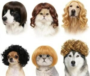 6 Pack Funny Cat and Dog Wigs, Soft Pet Cosplay Costume with Adjustable Straps, for Halloween Christmas Party Dress-Up, Ideal Gift for Pet Lovers
