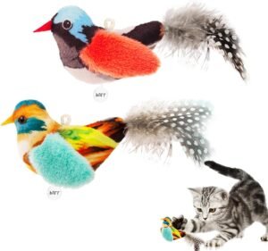 Interactive Cat Toys for Indoor Cats,Catnip and Feather,2Pcs