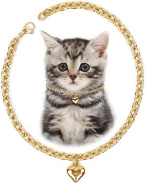 HOWWFALY Dog Collar and Cat Chain Necklace Stainless Steel Adjustable 18K Gold Heart-Shaped Necklace for Small Pets Cats Kitten Puppy (Gold, 7 inch)