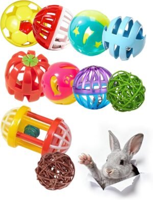 10 Pack Mixed Activity Play Balls for Indoor Pet Bunnies