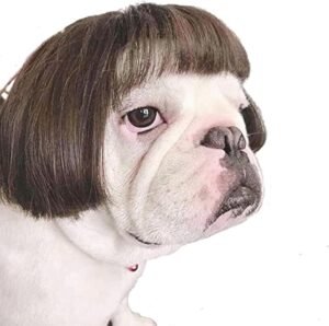 Funny Dog Cat Cosplay Wig,Pet Wigs for Halloween, Christmas, Parties, Festivals, Dog Wigs for Small Medium and Large Dogs (Black Brown Straight)