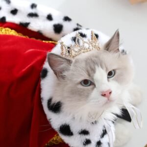 Lovelyshop Pearl Rhinestone Pet Crown for Dogs & Cats, Gold, S