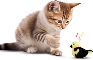 SPOT Song Birds Cat Toy- Touch Activated Singing Catnip Toy Mimics Real Bird Songs, Battery Operated Toy Satisfies Cat's Natural Urge to Hunt - One 5" Song Bird, Assorted Colors