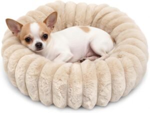 Mini Dog Bed for Very Small Dogs & Cats Washable, Fluffy Round Extra Small Kitten Beds for Indoor Kittens, Ultra-Soft Tiny Puppy Cat Donut Bed for Cozy Sleep, Beige, 16 x 16 x 3.5 Inch