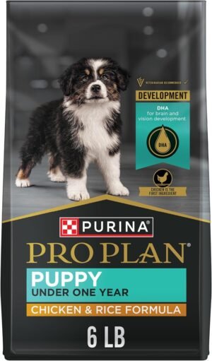 Purina Pro Plan High Protein Dry Puppy Food, Chicken & Rice, 6 lb Bag | Development puppy food with DHA for brain and vision development and calcium to build strong bones and teeth