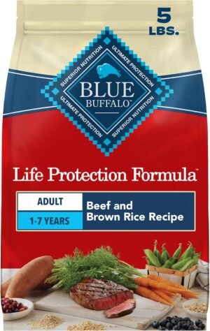 Blue Buffalo Life Protection Formula Beef Adult Dry Dog Food, 5 lb