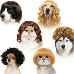 6-Piece Fun Pet Wig Set for Cats and Dogs | Cosplay Wigs & Costumes, Christmas, Pet Festivals, Halloween, Parties