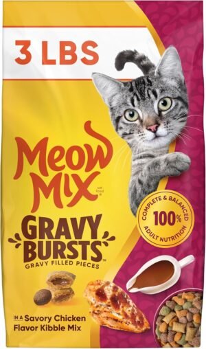 Meow Mix Gravy Bursts Dry Cat Food, 3 lb Bag | Crunchy cat kibble, gravy filled pieces, 100% complete & balanced nutrition for adult cats, high quality protein