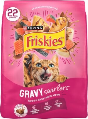 Purina Friskies Gravy Swirlers with Flavors of Chicken, Salmon and Gravy Dry Cat Food - 22 lb. Bag