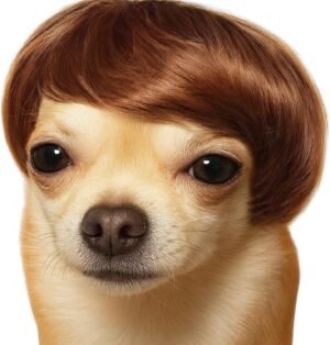 Dog Wig Pet Costumes, Cat Costume Synthetic Accessories Small Dog Headwear for Halloween Christmas Eve Festival Party Decor, Head Wear Apparel Toy (A)